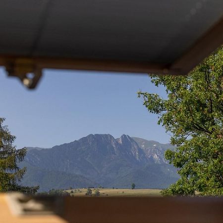 Apartamenty U Anusia Zakopane Buitenkant foto