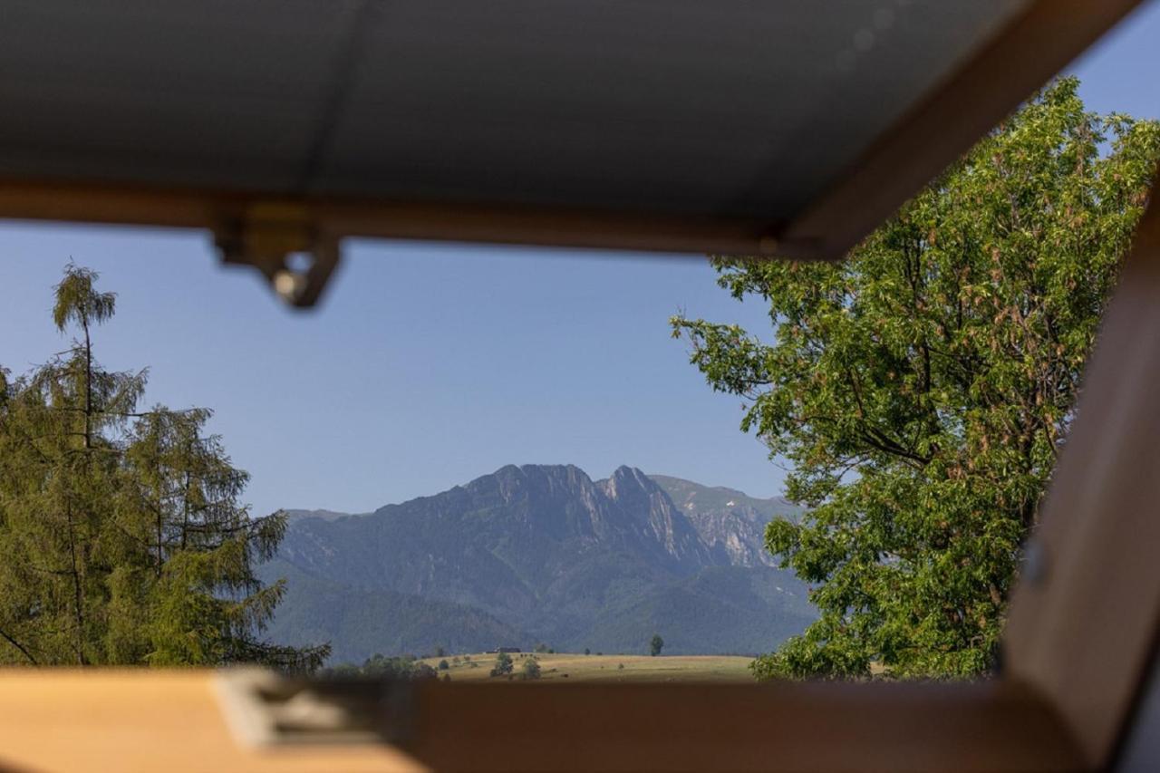 Apartamenty U Anusia Zakopane Buitenkant foto